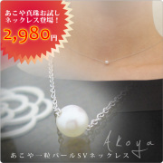 �ڤ������1��¤ꡪ�ۤ����������٥ӡ���γ�ѡ���SV�ͥå��쥹��