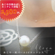 �����������٥ӡ���γ�ѡ���SV�ͥå��쥹